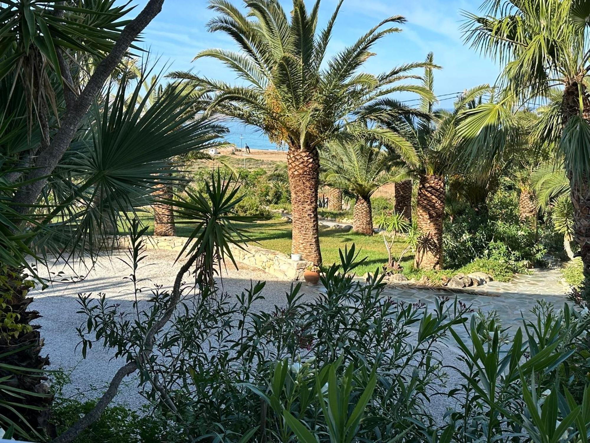 פלאסרנה Hotel Plakures מראה חיצוני תמונה