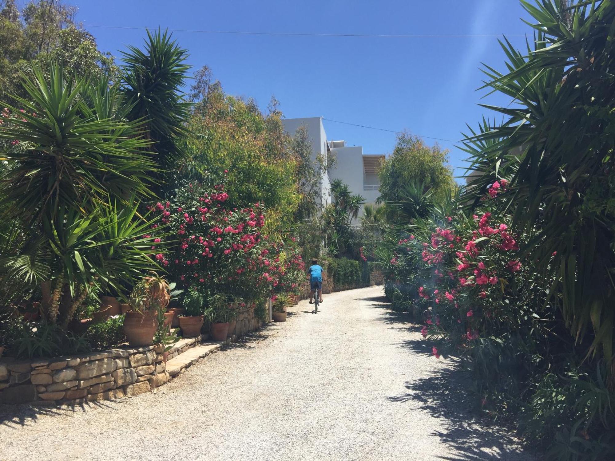 פלאסרנה Hotel Plakures מראה חיצוני תמונה