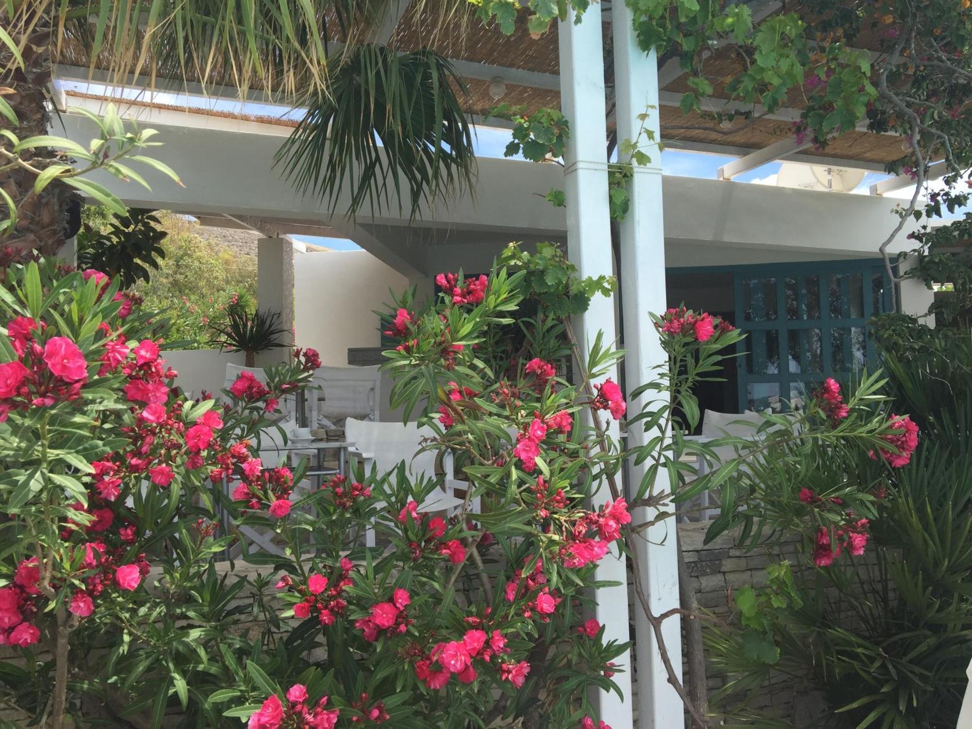 פלאסרנה Hotel Plakures מראה חיצוני תמונה