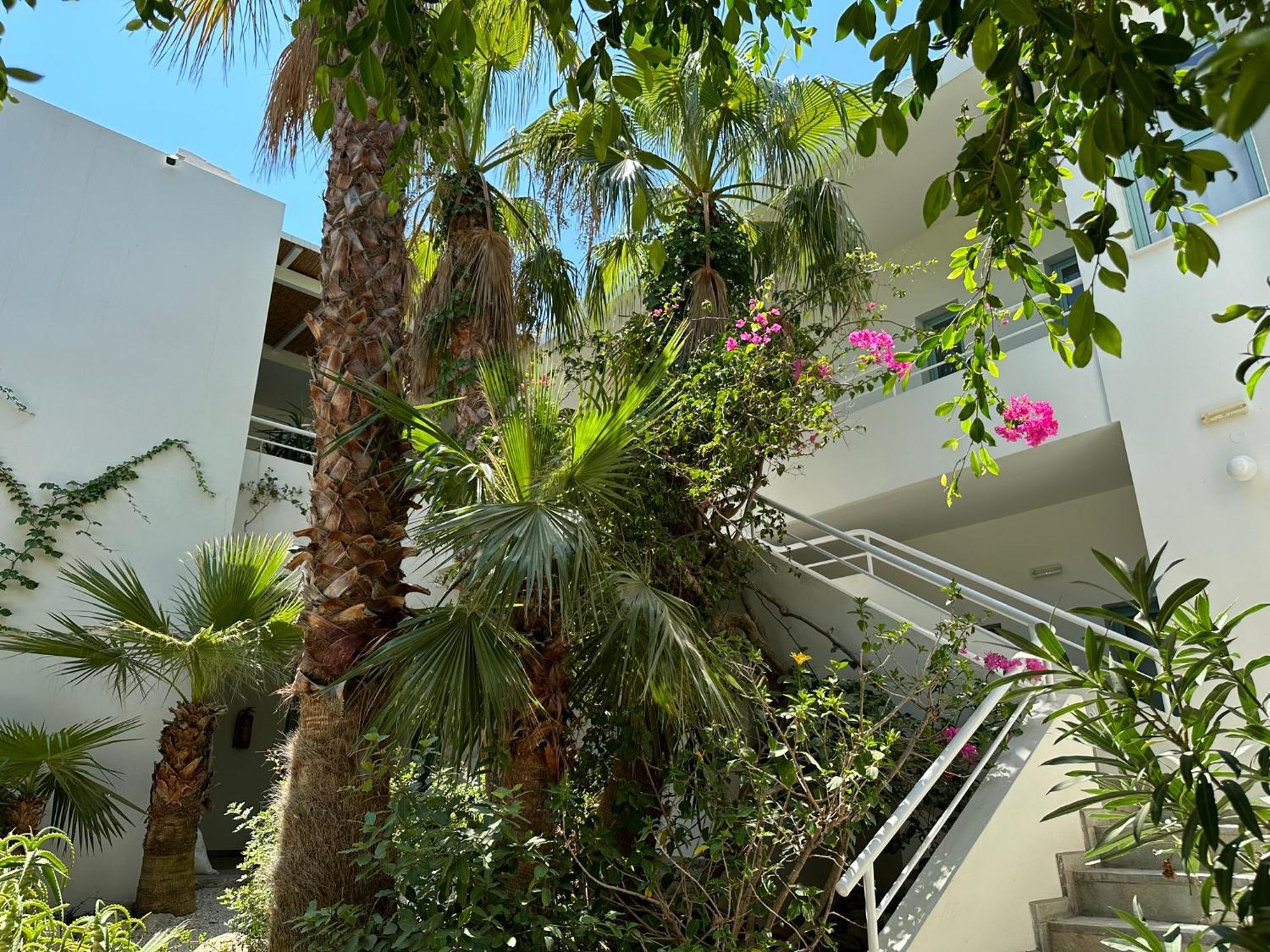 פלאסרנה Hotel Plakures מראה חיצוני תמונה