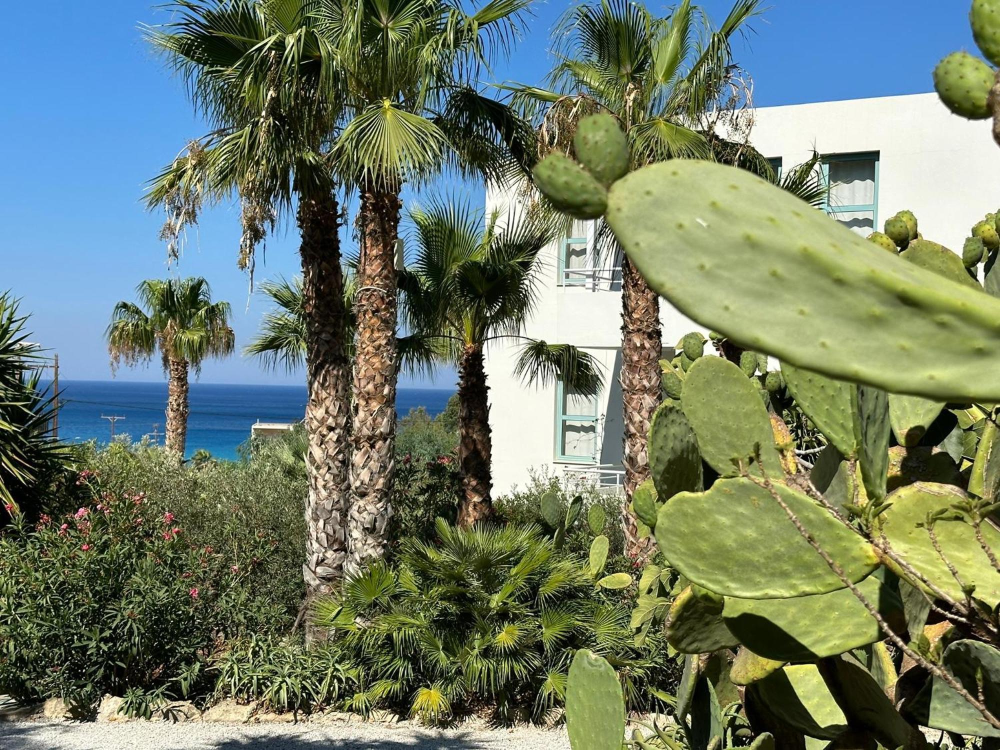 פלאסרנה Hotel Plakures מראה חיצוני תמונה