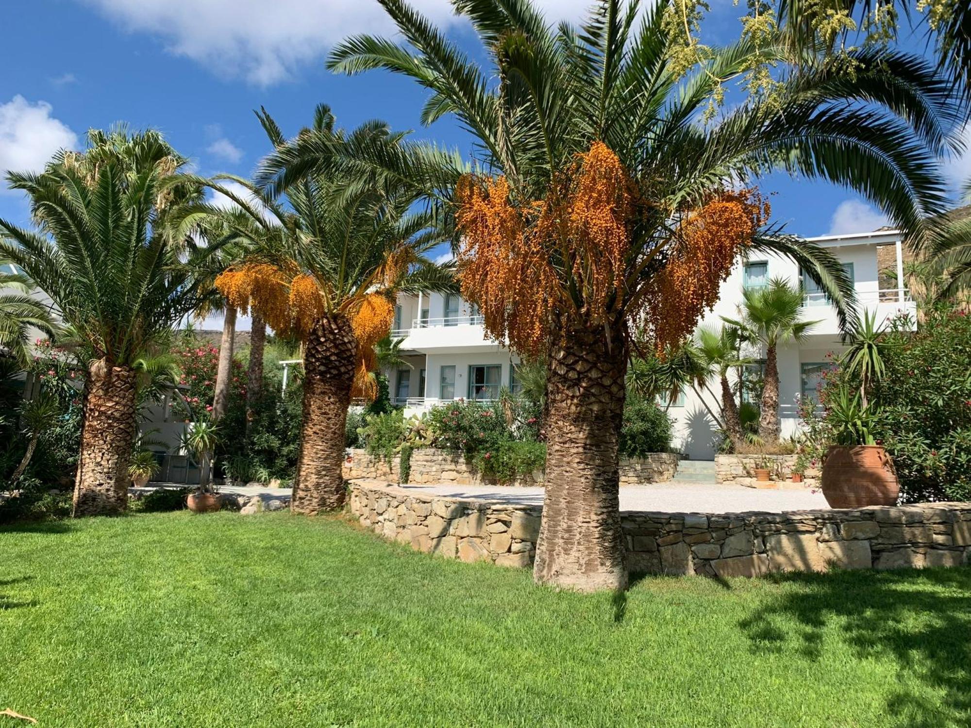 פלאסרנה Hotel Plakures מראה חיצוני תמונה